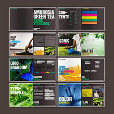 平面設計 從靈感到作品的視覺藝術(shù)之旅